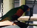 IMG_20200911_113810