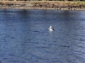 IMG_20200912_100749