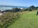 IMG_1353