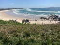 IMG_1354