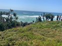 IMG_1355