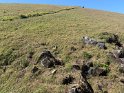 IMG_1360