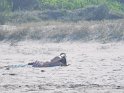 IMG_20200914_145328