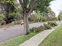 IMG_20200210_191754