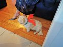 IMG_20201224_184944