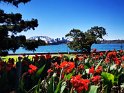 IMG_20210116_151511