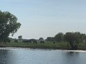 IMG_2386