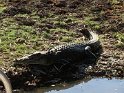IMG_2391