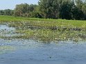 IMG_2399