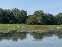 IMG_2400