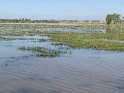 IMG_2405