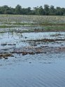 IMG_2406