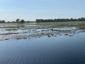 IMG_2407