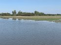 IMG_2432
