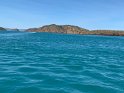 IMG_2554