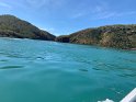 IMG_2585