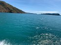IMG_2588