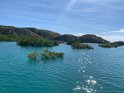 IMG_2598