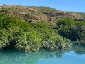 IMG_2611