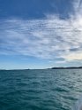 IMG_2617
