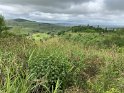 IMG_1939