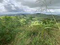 IMG_1940