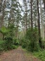 IMG_1988