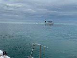 IMG_3990