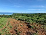 IMG_4012