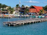 IMG_6480