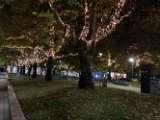 IMG_4494