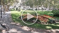 DJI_20230729_114307_11_video