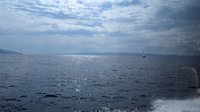 PXL_20230915_083116562.MP