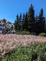 PXL_20230902_083517554