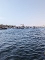 PXL_20231003_073612626