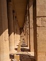 PXL_20231006_075426574