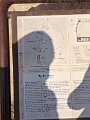 PXL_20231016_055208306