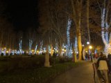 IMG_4270