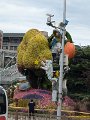 PXL_20241022_023356470