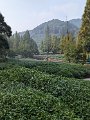 PXL_20241029_021152789