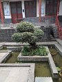 PXL_20241029_021907937