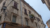 PXL_20240912_113237753