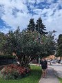 PXL_20240909_103358227