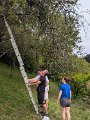 PXL_20240804_090053397.MP