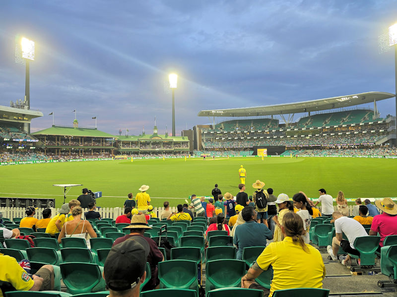 Cricket