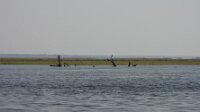DSCN0747