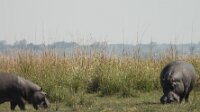 DSCN0753