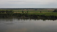 DSCN0117