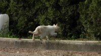 DSCN0125