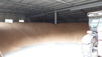 DSCN0130
